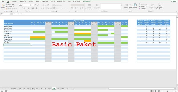 Tabelle in Excel mit hervorgehobenen Zellen und dem Text "Basic Patent".